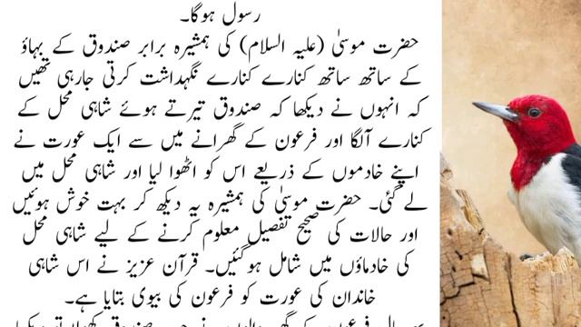 Hazrat Musa A.S Ka Waqiya||Islamic Waqiaya|| Part-1||Rashid Tv смотреть онлайн