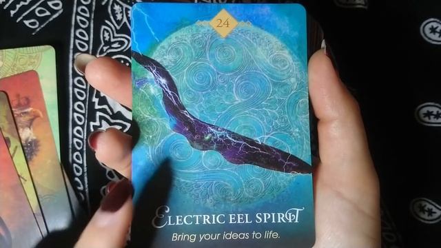 Обзор The Spirit Animal Oracle/Оракул Дух Животных (AliExpress) смотреть онлайн