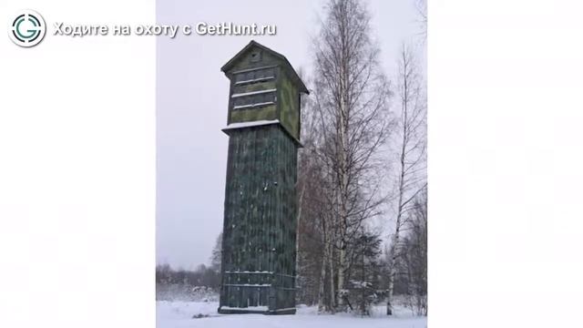 Охота в Тверской области – Охотничье хозяйство "Заречье" охота на лося в Тверской области смотреть онлайн