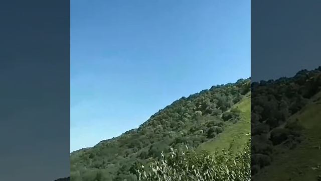 Медовые водопады вход в ущелье реки Алихоновки.mp4 смотреть онлайн