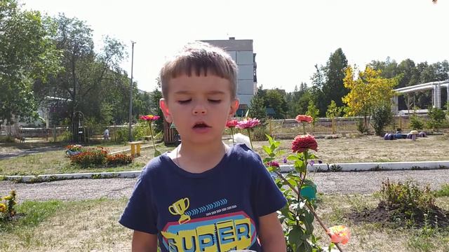 Пушкарёв Владимир, 3 года смотреть онлайн