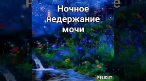 ?Матрица Гаряева от Энуреза.У кого проблема по жизни