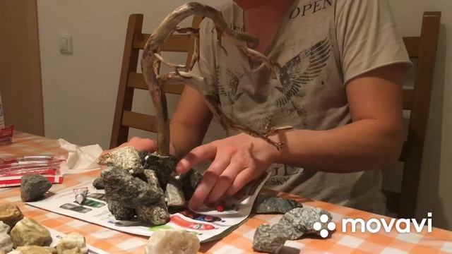 Как сделать бонсай в аквариум. #акваскейп #банка #бонсай смотреть онлайн