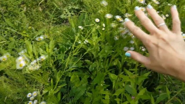 DIY Ловец снов (3 идеи) // украшение для сада //КАК плести венок? смотреть онлайн