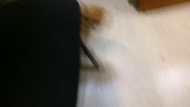 Кот на работе 2 смотреть онлайн