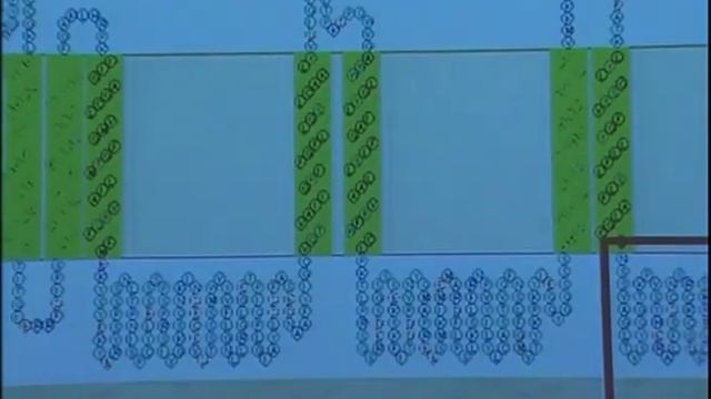 Молекулярная и клеточная нейробиология: взгляд в будущее смотреть онлайн