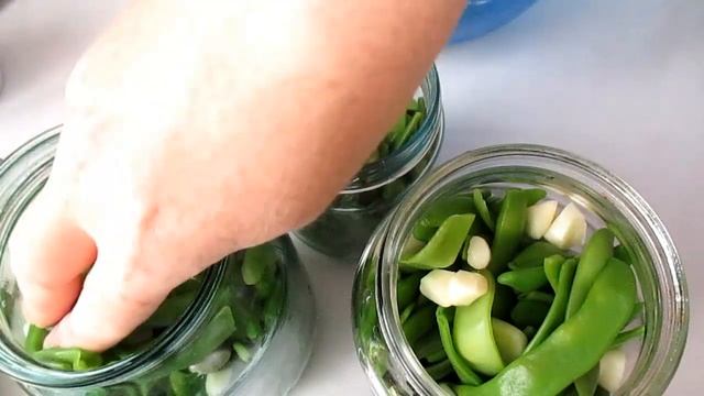 ТУРШУ из фасоли  КВАШЕНАЯ СТРУЧКОВАЯ ФАСОЛЬ на зиму БЕЗ СТЕРИЛИЗАЦИИ. Lobya Turşusu.