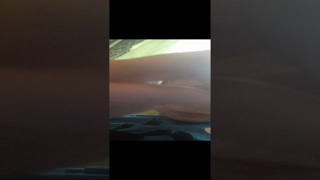 зелёный из радожных друзей смотреть онлайн