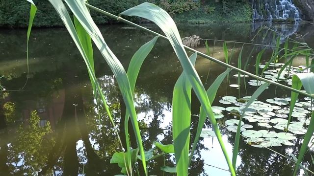 Я добытчик, а ты приживалка - ничего не делаешь, сидишь на моей шее - орал муж, пока не стал бывшим смотреть онлайн