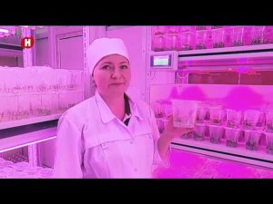 ООО НПЦ «АГРОПИЩЕПРОМ» Дегустация жимолости/Новые сорта жимолости