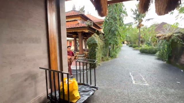 ИЗ ИНДИИ НА БАЛИ. КУДА МЫ УЕХАЛИ. ПРО УБУД И КУТУ В ИНДОНЕЗИИ #бали #индонезия