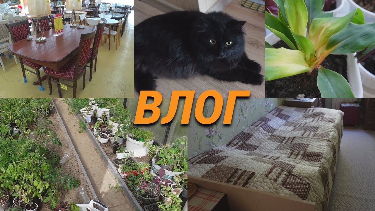 Выбираем новую кровать/Нашла его в Пятерочке/Садовые хлопоты#subtatiana смотреть онлайн