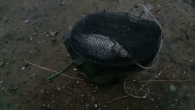 Рефтинское , рыбалка в жару . смотреть онлайн