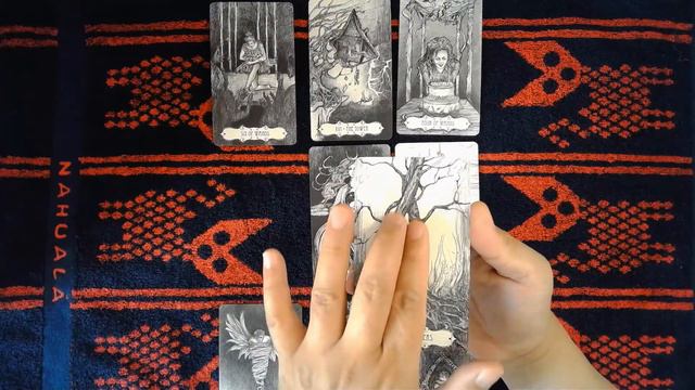 LISTEN TO THE PLANTS, Timeless Plant Oracle - Geranium, Moth Orchid & Petunia