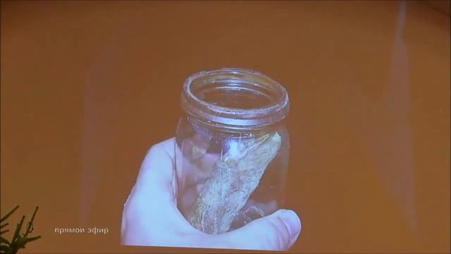 Кент Ховинд 2015 Сессия 4 Возраст Земли Cвидетельства Земли смотреть онлайн