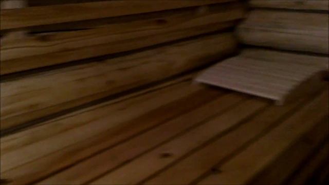 Видео-Отзыв покупателя Печь банная Быстрица 24 с навесным баком из нержавейки смотреть онлайн