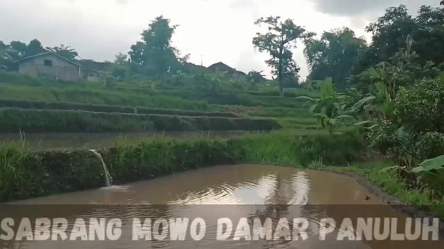 seorang pemuda bertanya supaya viral смотреть онлайн