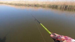 Рыбалка в Астрахани.  Камызякский район, 27-28 апреля 2022 года.  Часть 2 (Сазан и Щука)