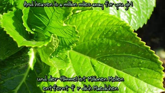 Don't Believe - Mehrzad Marashi - Eng/Ger Lyrics смотреть онлайн