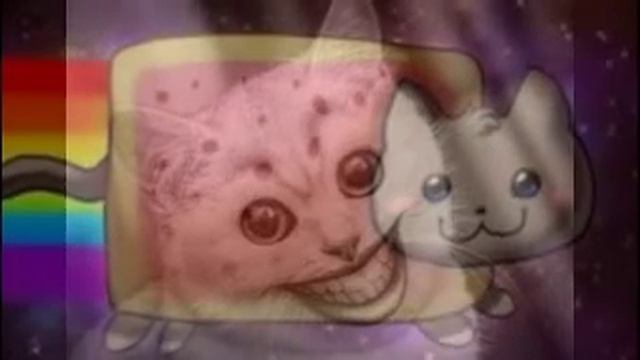 страшная кошка и ням кэт смотреть онлайн