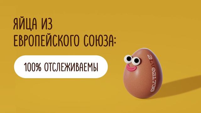 Буквы на яйце имеют значение. Определи происхождение по коду страны! смотреть онлайн