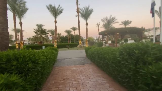 ??3 звезды / ПЕРВАЯ ЛИНИЯ НААМА БЕЙ ‼️БЮДЖЕТНЫЙ ОТЕЛЬ/ GHAZALA BEACH HOTEL 4* / Ghazala Garden /