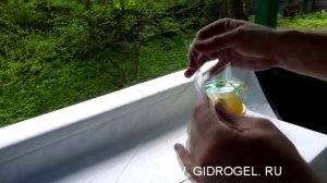 Яблонная плодожорка. Борьба с яблонной плодожоркой. Ловушки.