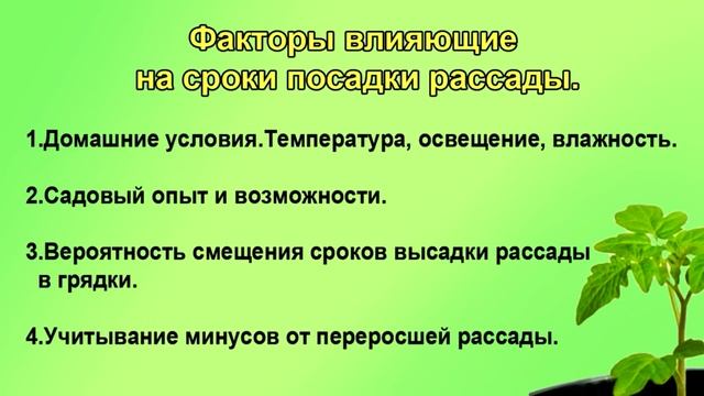 Когда начинать сеять перцы, томаты? Два главных правила. смотреть онлайн