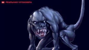 Что такое Чупакабра ?