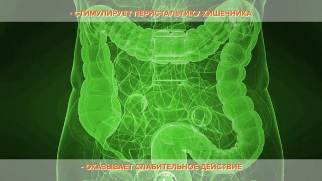 Лактулоза 2 смотреть онлайн
