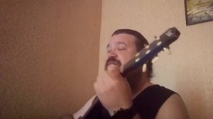 Такая вот печаль  ((с) гр. АриЯ)