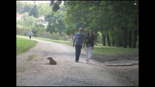 Музей-усадьба Л. Н. Толстого «Ясная Поляна, лето