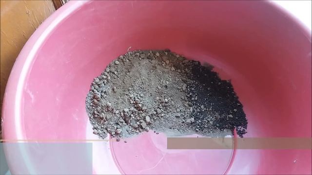 How To Grow Lotus Plant At Home With Updates( FAST N EASY METHOD)