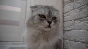 влог: МАРУСЯ И ТАЯ СИЛЬНО ЗАБОЛЕЛИ | ВЕРНУЛИСЬ НА ДАЧУ ЗИМОЙ