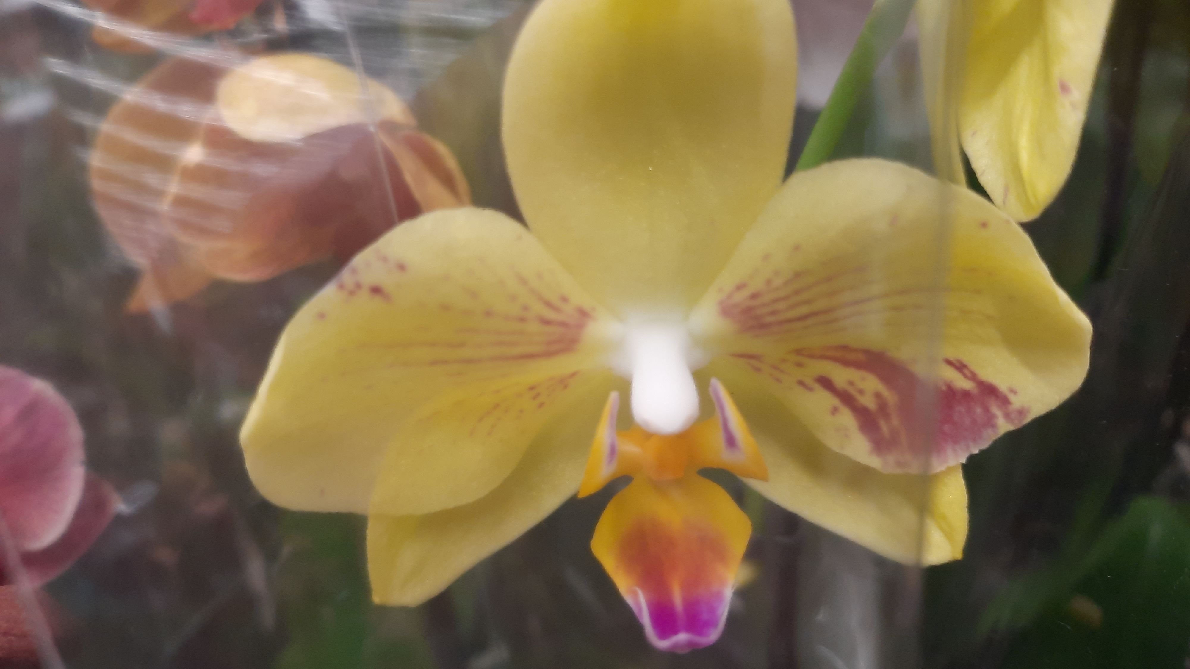 ОБЗОР ИЗ БАУЦЕНТРА //24 06 24// смотреть онлайн