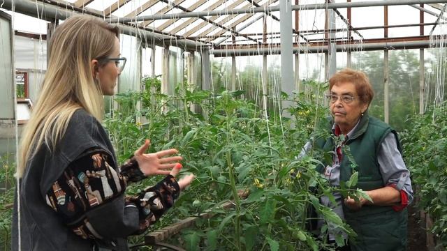 Академия на грядках 28 июня 2023 смотреть онлайн