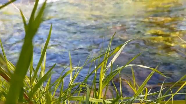 Практика. Золотая клетка СОАМА. смотреть онлайн