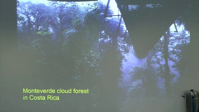 EAUC Biodiversity Event – Phil Seaton, Orchid Seed Stores for Sustainable Use (OSSSU) смотреть онлайн