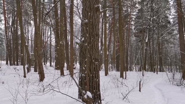 Усадьба Щербатовых. Санаторий им. Герцена. смотреть онлайн
