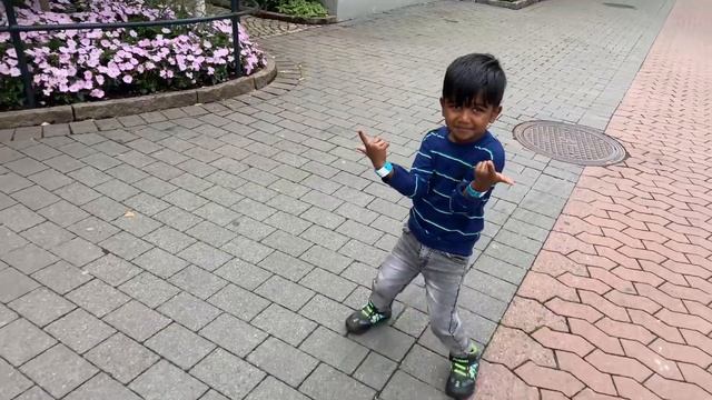 Liseberg park/Europe, Gothenburg Sweden , Indians in Sweden смотреть онлайн