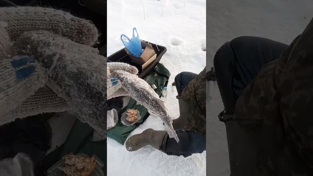 Аризонский район смотреть онлайн