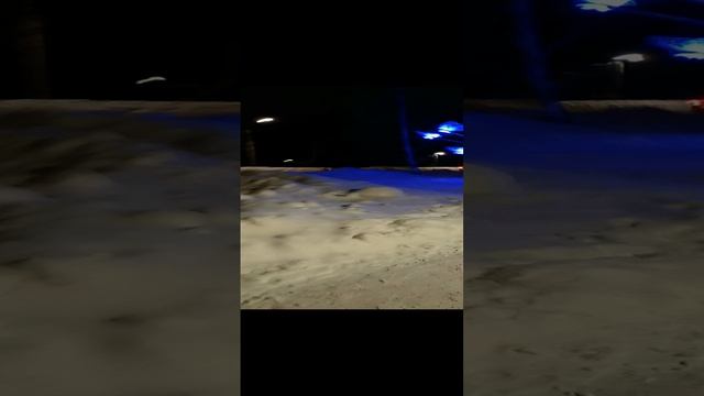 собака обосрака.mp4 смотреть онлайн