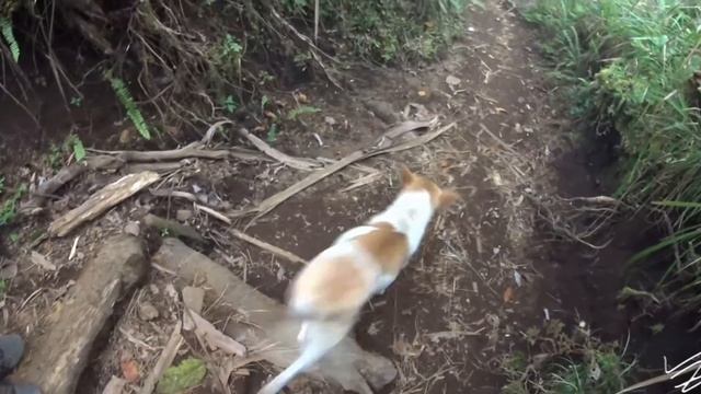 о. Ломбок / Lombok Island, Rinjani смотреть онлайн