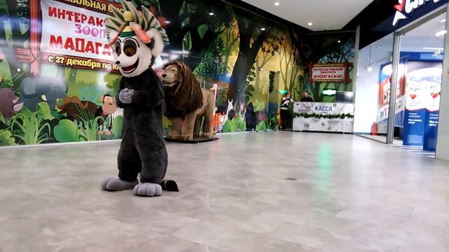 Смешной лемур и страшно рычащий лев робот. смотреть онлайн