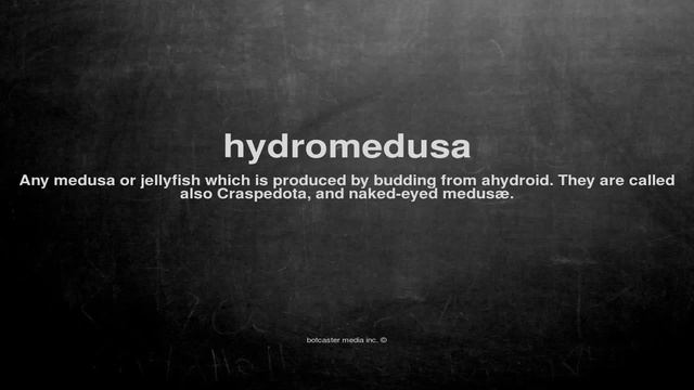 What does hydromedusa mean смотреть онлайн