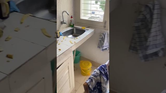 возвращаемся на родину смотреть онлайн