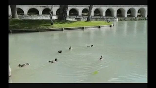 Nikon Coolpix L310 Review and demo N°3 نيكون lac canard смотреть онлайн