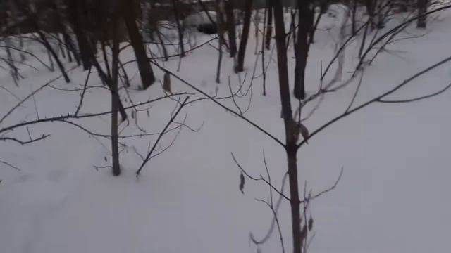 2 часть.Мы вернулись на заброшенную больницу которая находится на болоте смотреть онлайн