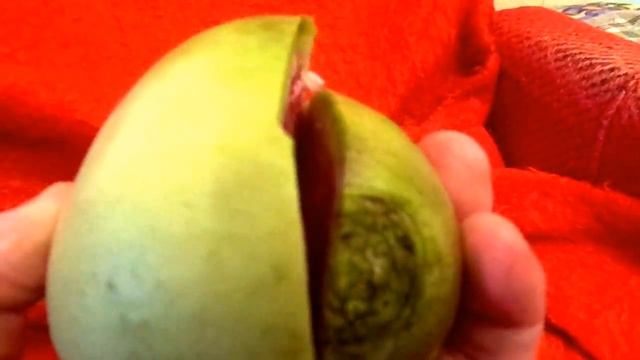 Ремонтные Фанфики