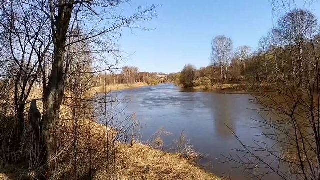 Разлив реки Которосль в Красных Ткачах смотреть онлайн